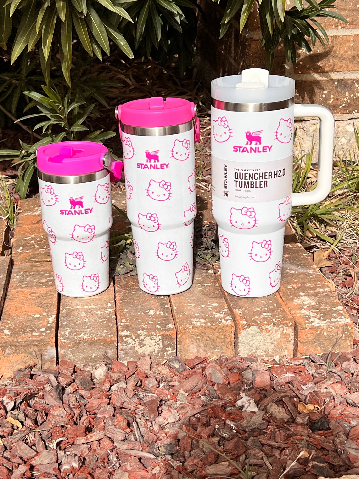 HELLO KITTY AND FRIENDS